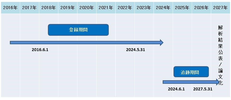 肝細胞癌 先進B試験スケジュール