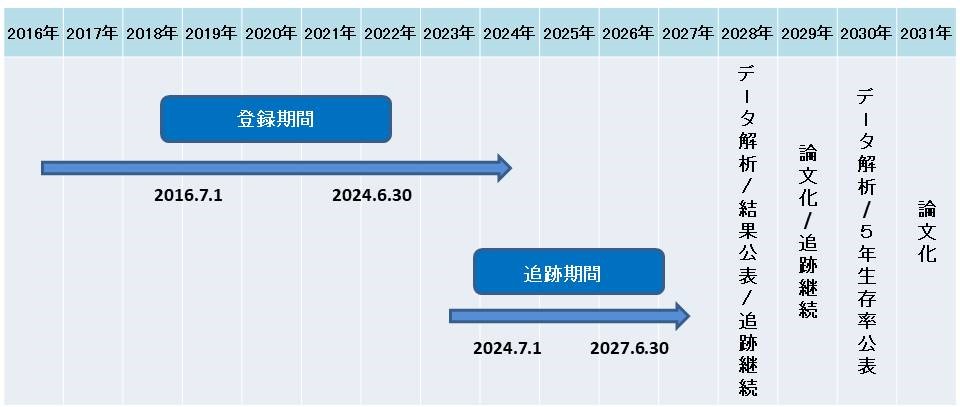 期非小細胞肺癌 先進B試験スケジュール