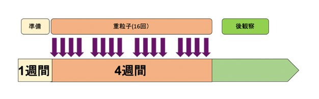 図 治療計画