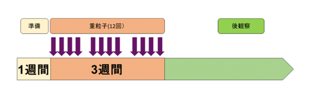 図 治療計画